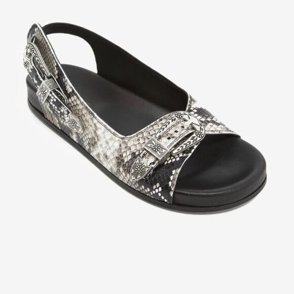 THE KOOPLES SNAKE PRINT BUCKLE LEATHER SLIDE SANDAL NIB 36 - Picture 2 of 12